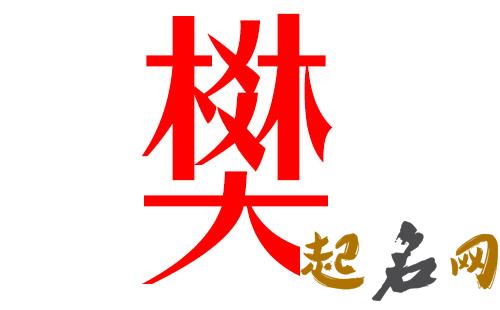 2019樊姓猪年男宝宝取名带什么字好 2019樊姓名字