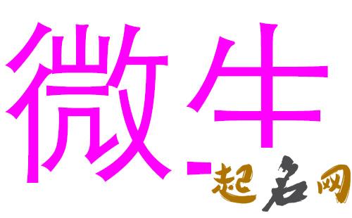 2019芦姓猪年女宝宝取名带什么字好 2019女猪宝取名