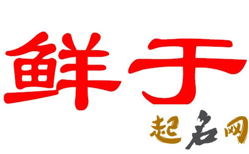 鲜于姓男宝宝起什么名大气？ 男宝宝起名字