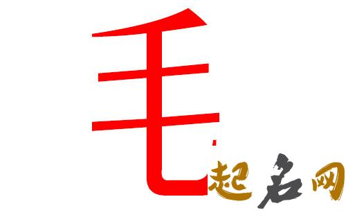 2019毛姓猪年男宝宝取名带什么字好 2019姓毛的名字