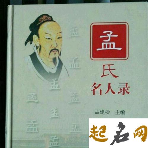 给午时猪年出生的孟姓男孩起名取什么名字好 孟姓猪年男孩名字