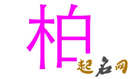 2019柏姓猪年女宝宝取名带什么字好 2019女猪宝取名