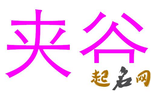 2019谷姓猪年女宝宝取名带什么字好 2019女猪宝取名