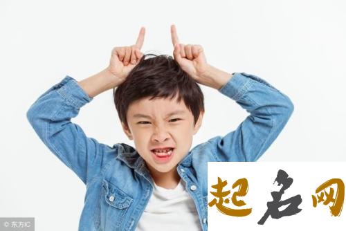 狗年男孩帅气有涵养的名字有哪些？ 男孩霸气有涵养的名字