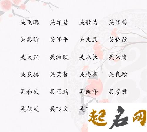 吴姓属水男宝宝取名需要戴哪个字？ 吴姓取名