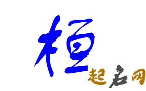 丁姓生肖属鼠的男孩有哪些宜用字? 12生肖