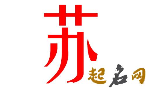 2019苏姓猪年男宝宝取名带什么字好 2019苏姓取名