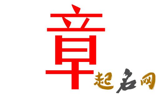 2019章姓猪年男宝宝取名带什么字好 2019于姓猪宝宝取名