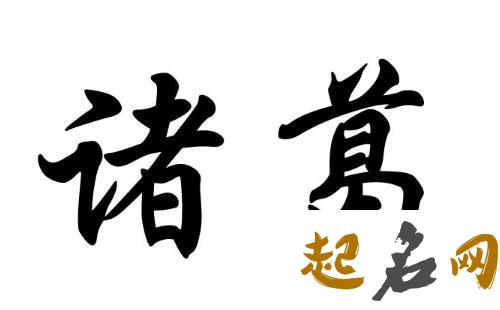 个性、特别、好听的诸葛姓龙凤双胞胎名字有哪些？ 龙凤双胞胎