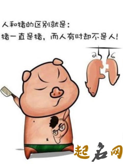 猪生肖夏姓男宝宝起什么名字补八字不老套？ 夏什么生肖