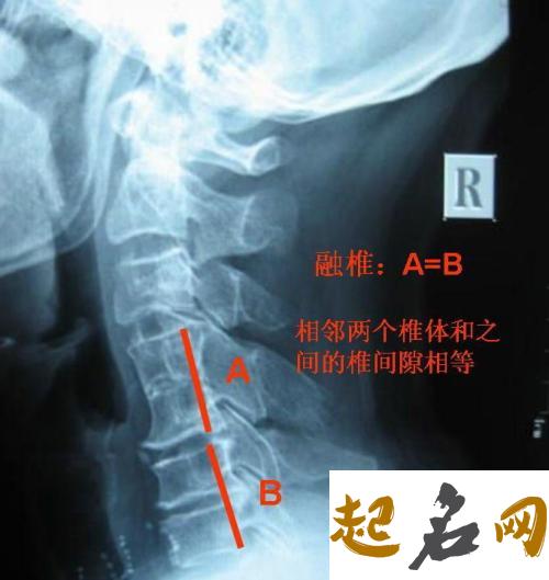 北京市有姓融的人吗？ 北京市多少人