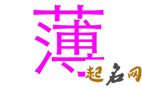 2019薄姓猪年女宝宝取名带什么字好 2019女猪宝取名