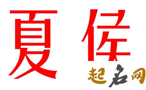 2019年猪年宝宝姓侯如何取名显大气？ 属猴2019年运势及运程