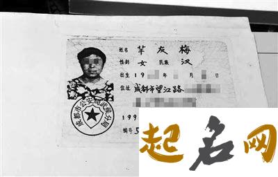 给卯时猪年出生的米姓男孩起名取什么名字好 猪年辰时出生的男孩