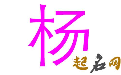 2019扬姓猪年男宝宝取名带什么字好 2019女猪宝取名