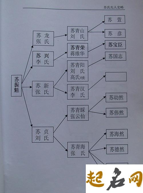 苏姓族谱有什么意义? 苏姓族谱在哪