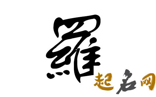 2019罗姓猪年男宝宝取名带什么字好 猪年罗姓名字