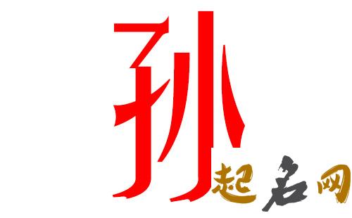 2019孙姓猪年男宝宝取名带什么字好 2019猪年孙姓男孩