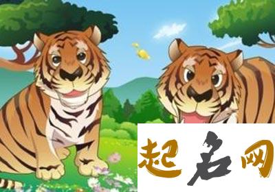 属虎宝宝姓黄需要避开什么？ 属虎姓什么