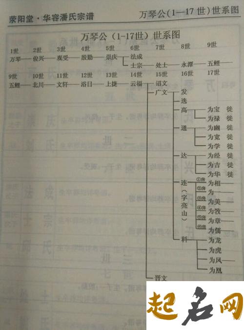 属猪年潘姓五行缺土的女孩起名怎么取 属猪五行缺金缺土应该叫什么名字