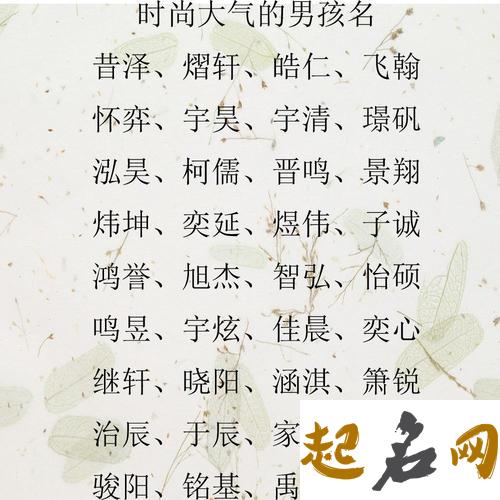 属猪的方姓男孩怎么取名好听又好记？ 好听的男孩名字属猪