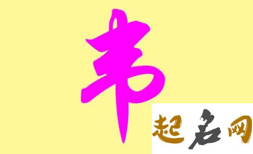 洋气有内涵韦姓女宝宝单字名字有哪些？ 名字单字