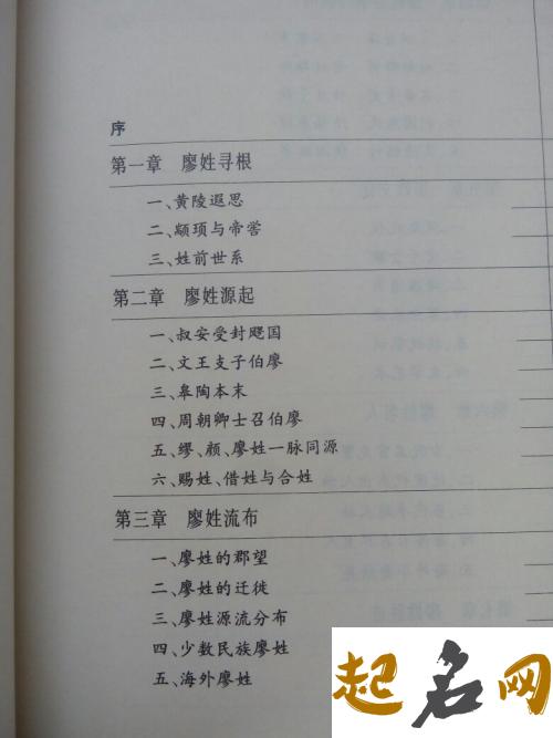 廖姓字辈在湖南的哪些地方？ 廖姓字辈