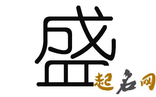 2019盛姓猪年男宝宝取名带什么字好 2019女猪宝取名