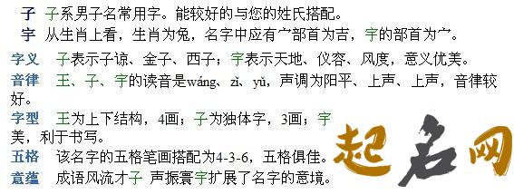 2019年2月份的男孩姓王 起什么名字好 2019姓王男孩名字大全