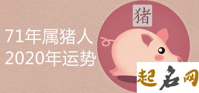 属猪的2021年1月份订婚好吗,属猪人元月订婚吉日查询 83年属猪的2020年运势怎么样