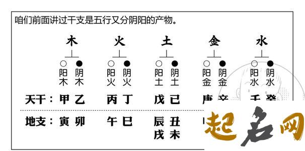 9.天干地支的相互关系：根与苗 天干地支算命