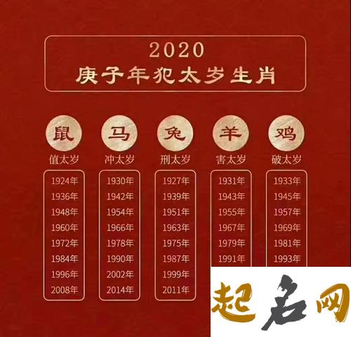 属鼠的人今年多大【2020年】 2020什么年属什么生肖