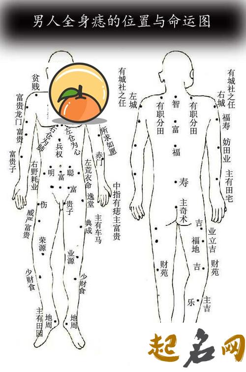 男脸上痣的位置与命运 男人全身痣相图解命运