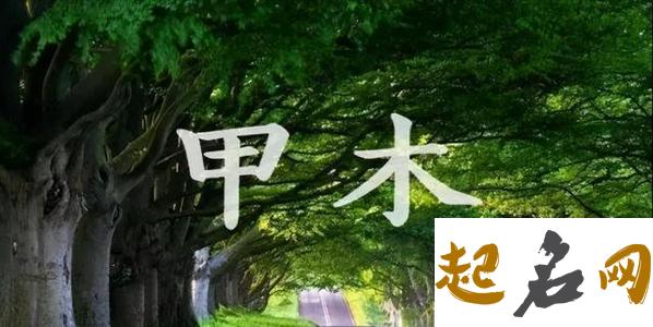 为什么说木命人生来性格温柔为人正直 性格温柔的男生