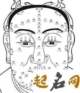 额头大的人命运好不好,额头大面相算命 额头低窄面相