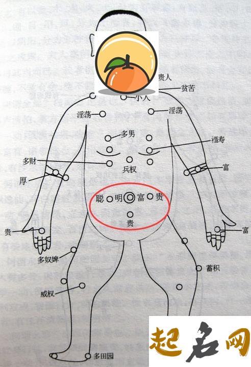 石崇巨富痣的位置在哪里 右肩胛骨最下端靠近脊椎的位置 很多富豪下巴都有痣