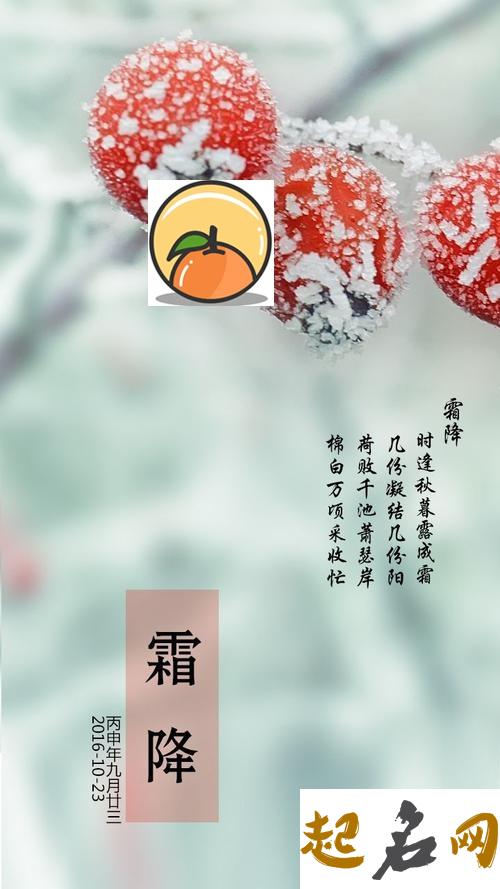 二十四节气的祝福-霜降祝福语集合（图文） 节气祝福语有讲究吗