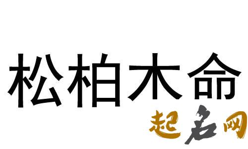 松柏木命和井泉水命的婚配好吗，女性松柏木相配男性井泉水 杨柳木命什么意思