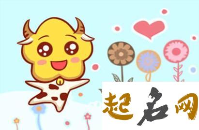 属猪摩羯座的致命弱点 今年属猪的财运