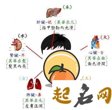 通过看五官判断一个人运势如何 五官算命