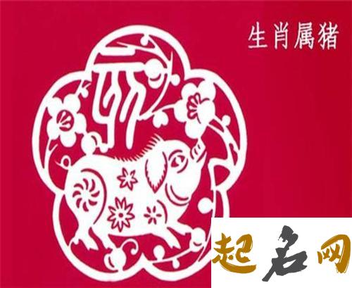 97年属牛人一生运势详解 爱情运势是否顺利 2020年属猪人的全年运势