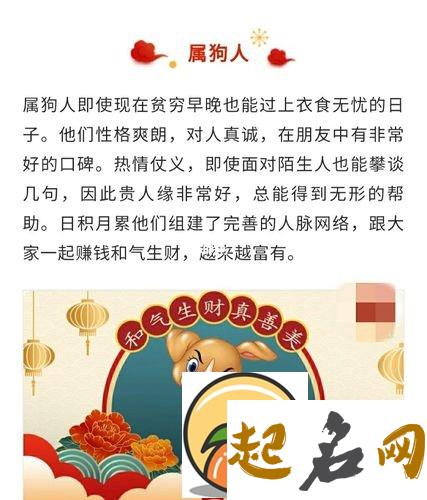 狗年出生的人命运好不好 性格如何 狗年性格脾气