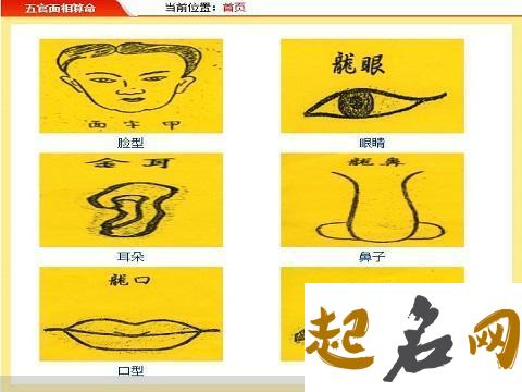 相学家点评名人面相精选 名人有谁是虎鼻面相