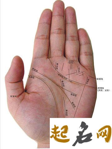 生命线有横线手相图解 手相生命线有横线过怎么化解