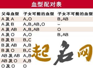 属鼠AB血型 ab血型是熊猫血吗