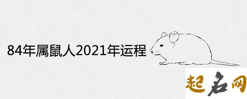 看属相是阴历还是阳历 84年属鼠的人2021年的运势及运程