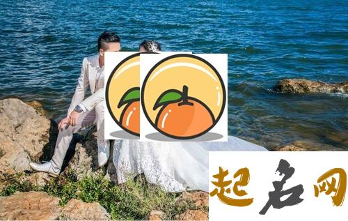 夫妻都是山头火命好么婚姻运势怎么样 属狗2020年运势及运程