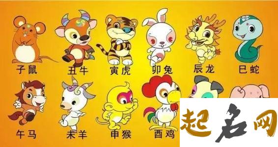 1998年丑时出生的生肖属虎人命好吗，才智过人，钱库丰盈家门兴旺 属猴丑时出生的女孩命运