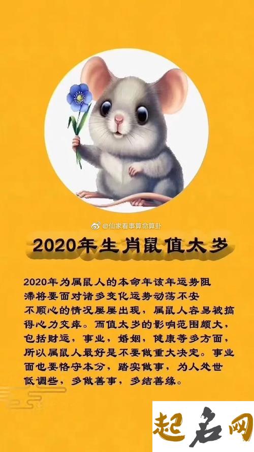 属鼠的今年多大,属鼠的2020年多大 2020什么年属什么生肖