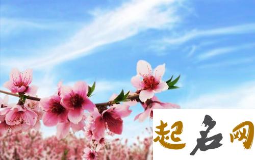 2021年8月属牛人桃花运好吗 怎么化解烂桃花 属牛的本命年2021年